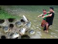 Primiitve Life Find Catch Fish - LIVING OFF GRID - Fishing big fish in mud pit