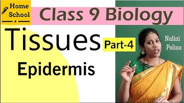 Tissues class 9 Biology Part-4