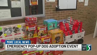 Emergency adoption event following local animal rescue