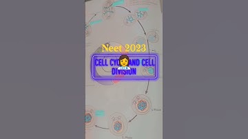Cell cycle and cell division/NEET/CUET/CBSE/#neet #neet2023 #shorts #mbbs #aiims