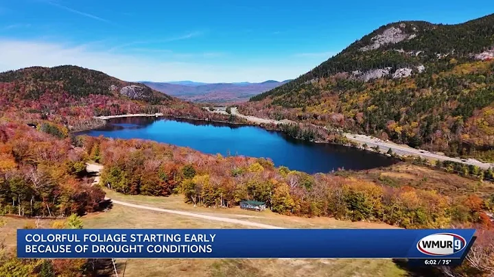 Colorful foliage started early this year because of drought conditions
