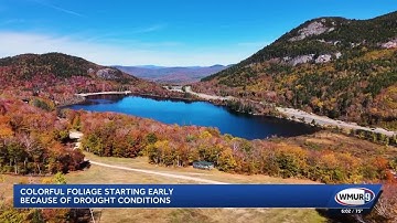 Colorful foliage started early this year because of drought conditions