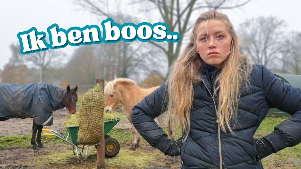 Ik ben er helemaal klaar met de stal en paarden... 🎄 Vlogmas