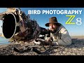 Bird Photography With Homemade Sled