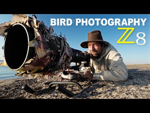 Nikon Z8 - Bird Photography | 8 Days In The Field