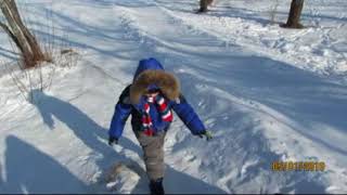 Парк семейного отдыха "Лесное" озеро в городе Артем Приморского края.