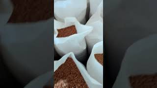 Peanuts Exporter | Groundnut | Bold peanuts | Agriculture products | Peanuts