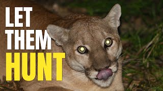 Could Apex Predators Save America From Invasive Species?
