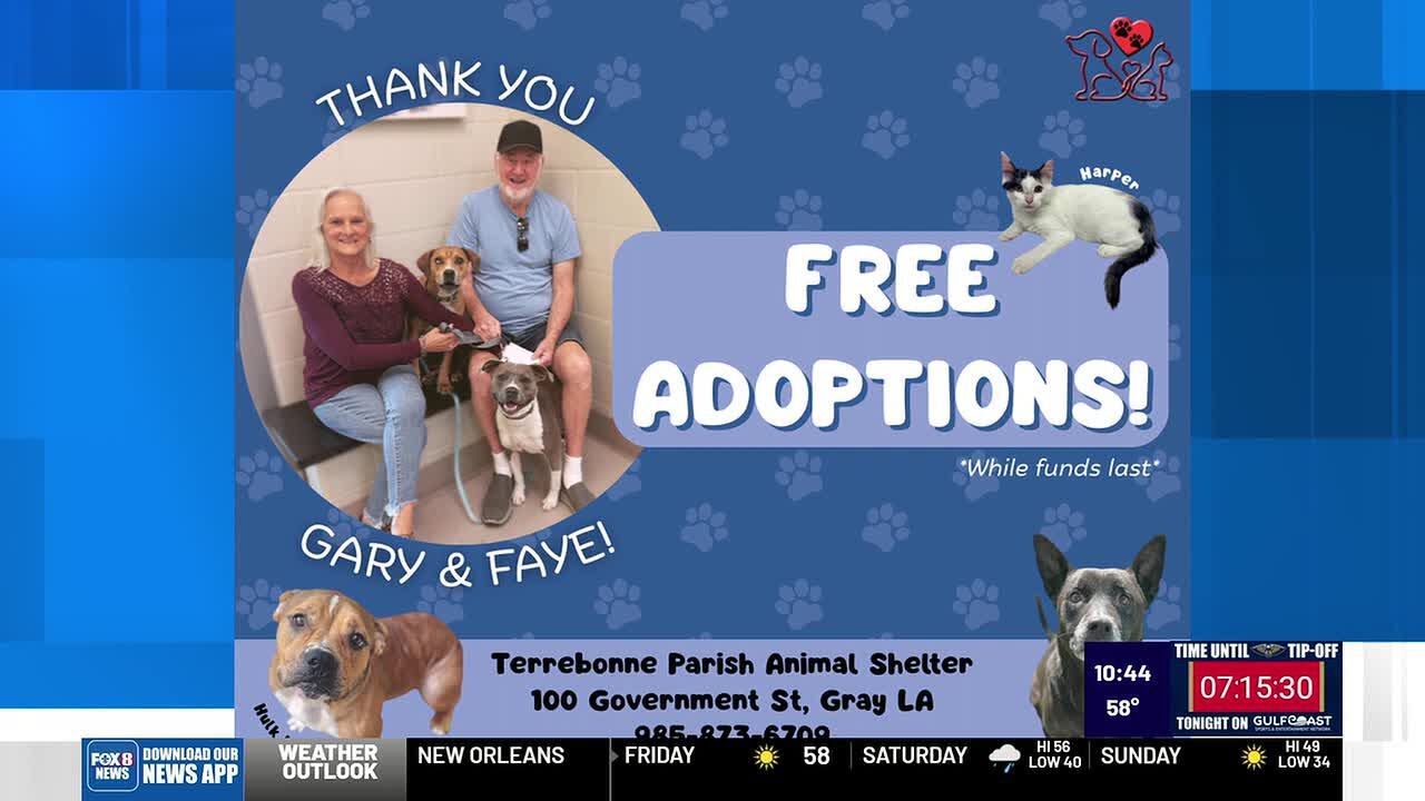Terrebonne animal shelter has you covered with all your pet needs
