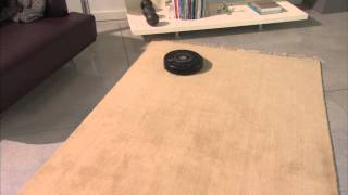 iRobot® Roomba - Remote Wealth