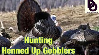 Hunting HENNED UP GOBBLERS