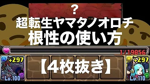 パズドラ 根性パ パズドラ 根性パ