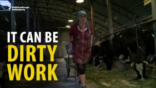 We Work In Hell - Russias Miserable Milkmaids