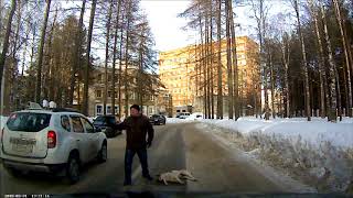 В Ухте на ул. Горького отравили собак 31 марта 2018г. В Ухте на ул. Горького отравили собак 31 марта 2018г.