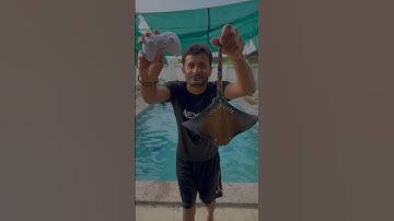 Remote control shark under water testing- JMV TOYS #shrots