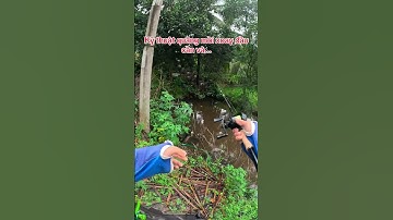 Kỹ thuật quăng mồi xoay đầu cần sẽ quyết định..👉 #fishing #cauca #caucasuoi #lure #funny #caucaloc