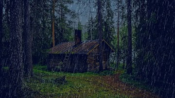 Tiếng mưa rơi trong rừng nhẹ nhàng dễ ngủ tuyệt hay - Tiếng ồn trắng ngủ cực ngon