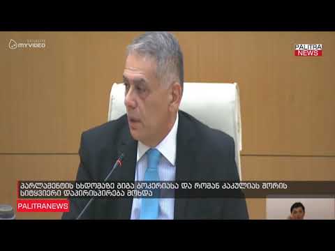 პარლამენტის სხდომაზე გიგა ბოკერიასა და რომან კაკულიას შორის სიტყვიერი დაპირისპირება მოხდა