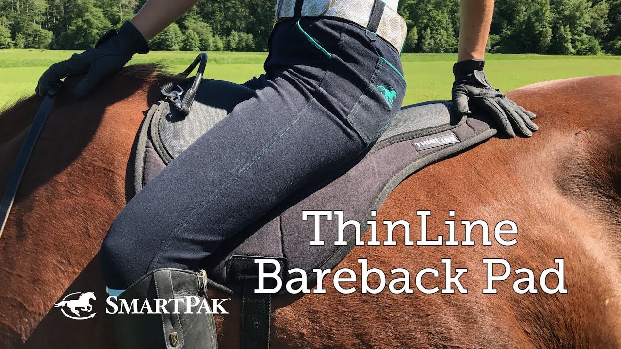 ThinLine Comfort Bareback Saddle Pad Black One Size 