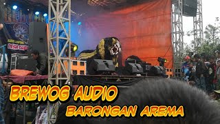 BREWOG AUDIO PERFORM PERDANA CAMPURSARI BARONGSAI AREMA DI GUBUGLAKAH