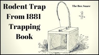 Rodent Trap From an 1881 Book. The Box Snare Trap. Mousetrap Monday