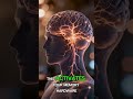 The 60-Second Reset: Rebuild Your Mental Clarity