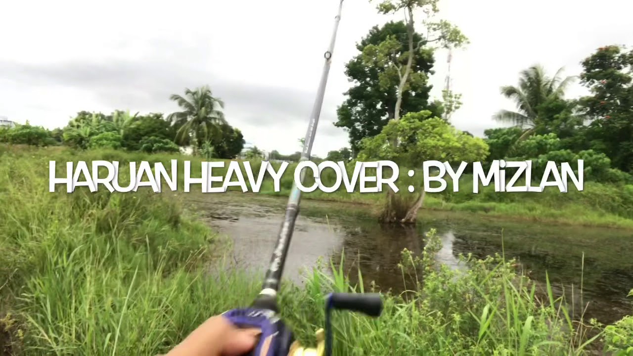 snakehead fish-Haruan fishing Malaysia - YouTube