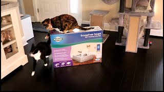 Pet Care Shopping Haul 2 & lots of fur baby love #petcare