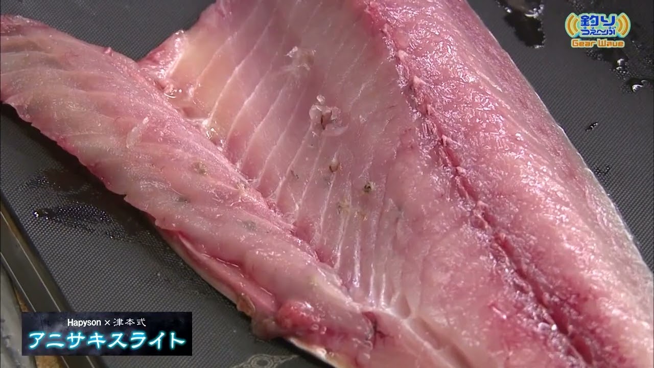 【GearWave】ハピソン 津本式シリーズ『アニサキスライト』 1
