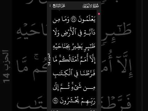 اعجاز علمى خطير فى سورة الانعام