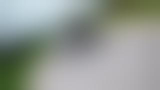 Ichwane lika Sbuko Sodali 🍇