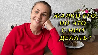 видео: Решилась подать на немецкое гражданство, но видно пока не судьба😢 картинка: Решилась подать на немецкое гражданство, но видно пока не судьба😢