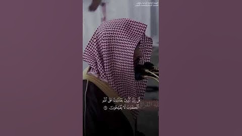 تلاوة مؤثرة الشيخ عبدالله القرافي _ قالو أتخذا الله ولدا • سبحانه#قرآن #عبدالله_القرافي