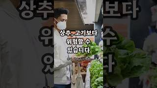상추, 고기보다 위험할 수 있습니다
