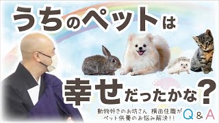Q9.うちのペットは幸せだったかな？／ペット供養Q&A