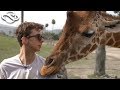 Feeding the GIRAFFES! - Becoming a Zoo Keeper for a Day
