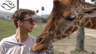 Feeding the GIRAFFES! - Becoming a Zoo Keeper for a Day