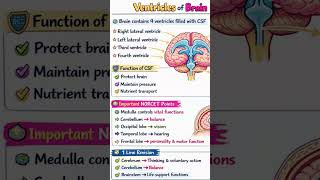 #medico #education #new #nursing #exam #biology #anatomy #neet #question#quiz #questions #msn #nurse