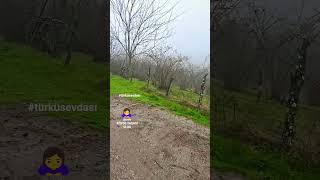 Yolun Di̇li̇ Olsaydi.....