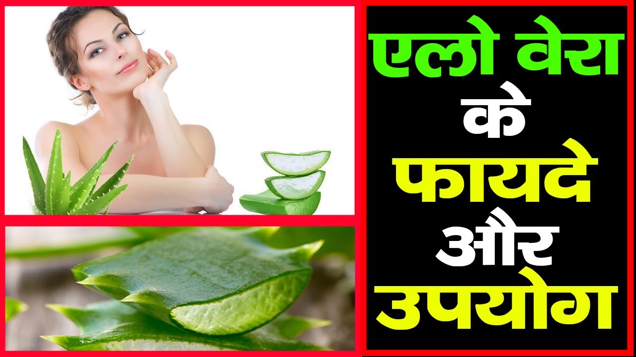 Aloe Vera Benefits In Hindi For Face JAMIL5