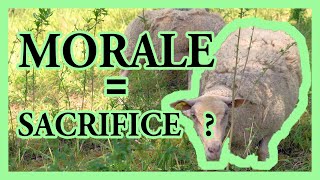 À quoi "sert" la morale (pour un biologiste) ? - morale #4