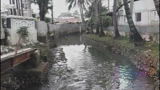 KEMANA (KOES PLUS - 1976)