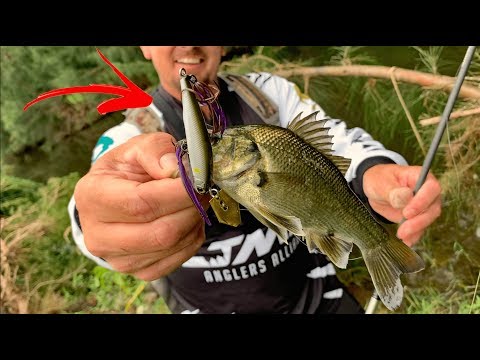 attached above a fishing hook to attract fish Heavyweight Catfish Hooks - Offset Octopus Circle Hooks Jerk Baits Llungen Lures Tandem Nutbuster Size:2500XH
