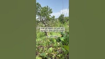 هُوَ الَّذِي أَنزَلَ السَّكِينَةَ فِي قُلُوبِ الْمُؤمِنِينَ🤍أرِحْ سمعك #القرآن_الكريم #سورة_الفتح