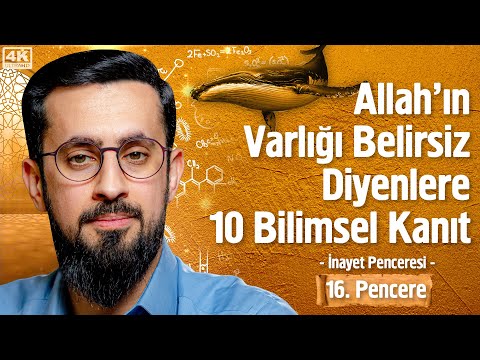 Allah'ın Varlığı Belirsiz Diyenlere 10 Bilimsel Kanıt [16. Pencere] -İnayet Penceresi |Mehmet Yıldız