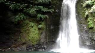 Sanguinho waterfall - São Miguel - Azores
