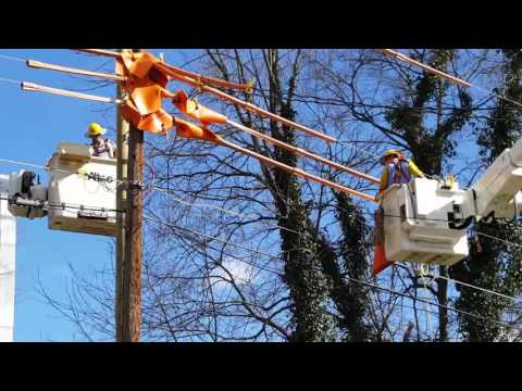 Video: Kaataako Duke Energy puita?