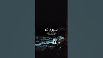 الَّذِينَ صَبَرُوا وَعَلَىٰ رَبِّهِمْ يَتَوَكَّلُونَ سورة العنكبوت ايه 59