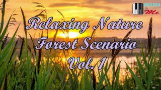 Relaxing Nature Vol.1 | Forest Scenario [Visual Relaxation with Forest Creature Audio][Royalty Free]