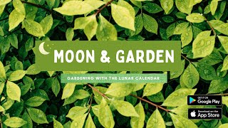 Moon and Garden mobile application screenshot 1